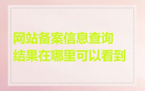 网站备案信息查询结果在哪里可以看到