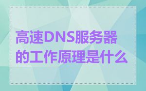 高速DNS服务器的工作原理是什么