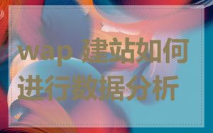 wap 建站如何进行数据分析