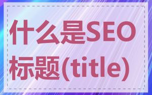 什么是SEO标题(title)