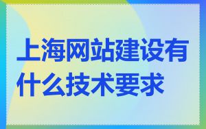 上海网站建设有什么技术要求