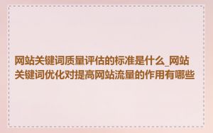网站关键词质量评估的标准是什么_网站关键词优化对提高网站流量的作用有哪些