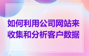 如何利用公司网站来收集和分析客户数据