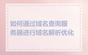 如何通过域名查询服务器进行域名解析优化