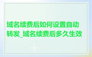 域名续费后如何设置自动转发_域名续费后多久生效