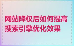 网站降权后如何提高搜索引擎优化效果