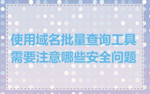 使用域名批量查询工具需要注意哪些安全问题