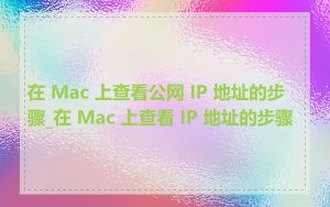 在 Mac 上查看公网 IP 地址的步骤_在 Mac 上查看 IP 地址的步骤