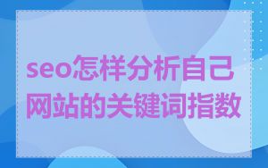 seo怎样分析自己网站的关键词指数