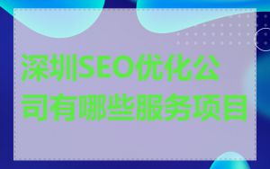 深圳SEO优化公司有哪些服务项目