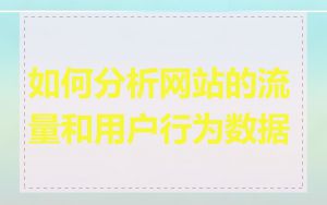 如何分析网站的流量和用户行为数据