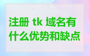 注册 tk 域名有什么优势和缺点