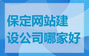 保定网站建设公司哪家好