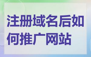 注册域名后如何推广网站
