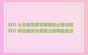 SEO 从业者需要掌握哪些必备技能_SEO 移动端优化需要注意哪些重点