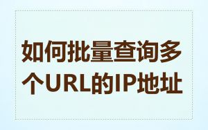 如何批量查询多个URL的IP地址