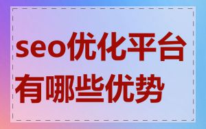 seo优化平台有哪些优势