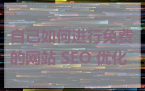 自己如何进行免费的网站 SEO 优化