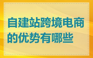 自建站跨境电商的优势有哪些
