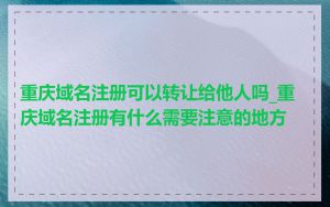 重庆域名注册可以转让给他人吗_重庆域名注册有什么需要注意的地方