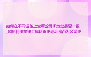如何在不同设备上查看公网IP地址是否一致_如何利用在线工具检查IP地址是否为公网IP
