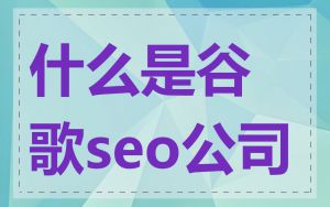 什么是谷歌seo公司