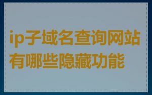 ip子域名查询网站有哪些隐藏功能
