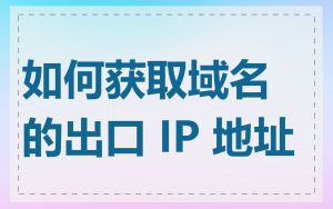 如何获取域名的出口 IP 地址