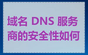 域名 DNS 服务商的安全性如何