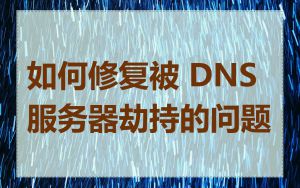 如何修复被 DNS 服务器劫持的问题