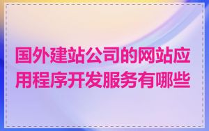 国外建站公司的网站应用程序开发服务有哪些