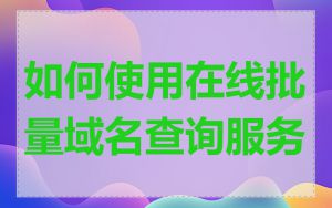 如何使用在线批量域名查询服务