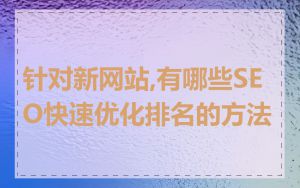 针对新网站,有哪些SEO快速优化排名的方法