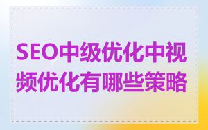SEO中级优化中视频优化有哪些策略