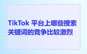 TikTok 平台上哪些搜索关键词的竞争比较激烈