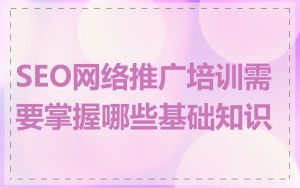 SEO网络推广培训需要掌握哪些基础知识