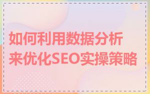 如何利用数据分析来优化SEO实操策略