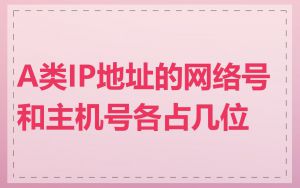 A类IP地址的网络号和主机号各占几位