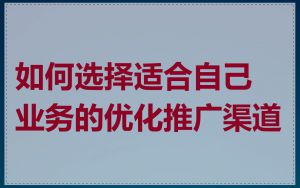 如何选择适合自己业务的优化推广渠道