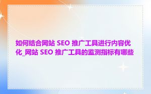 如何结合网站 SEO 推广工具进行内容优化_网站 SEO 推广工具的监测指标有哪些