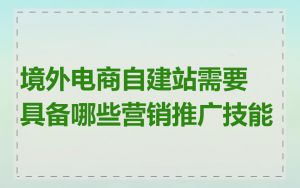 境外电商自建站需要具备哪些营销推广技能
