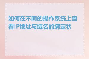 如何在不同的操作系统上查看IP地址与域名的绑定状态