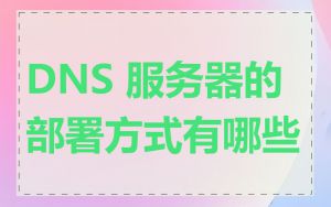 DNS 服务器的部署方式有哪些