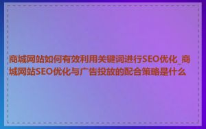 商城网站如何有效利用关键词进行SEO优化_商城网站SEO优化与广告投放的配合策略是什么