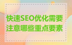 快速SEO优化需要注意哪些重点要素
