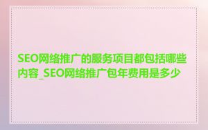 SEO网络推广的服务项目都包括哪些内容_SEO网络推广包年费用是多少