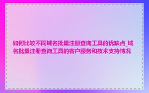 如何比较不同域名批量注册查询工具的优缺点_域名批量注册查询工具的客户服务和技术支持情况