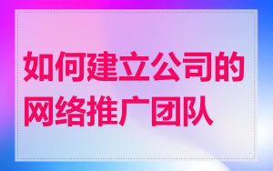 如何建立公司的网络推广团队