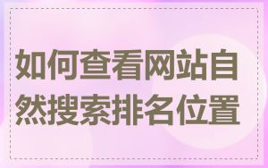 如何查看网站自然搜索排名位置