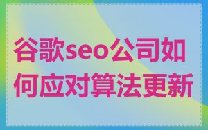 谷歌seo公司如何应对算法更新